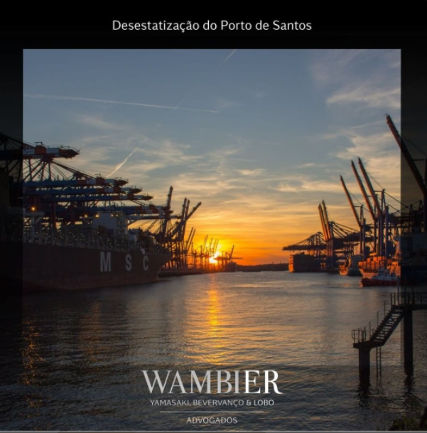 Read more about the article Desestatização do Porto de Santos