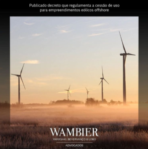 Read more about the article Publicado decreto que regulamenta a cessão de uso para empreendimentos eólicos offshore